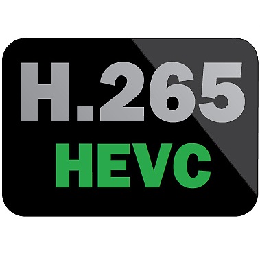 فرمت H.265 چیست ؟